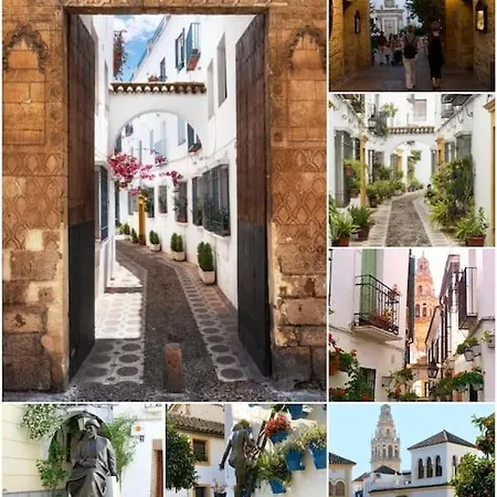 Vivienda Entre Patios E Iglesias De アパート *