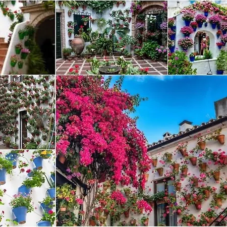 Centrico En El Casco Historico De * Cordoba